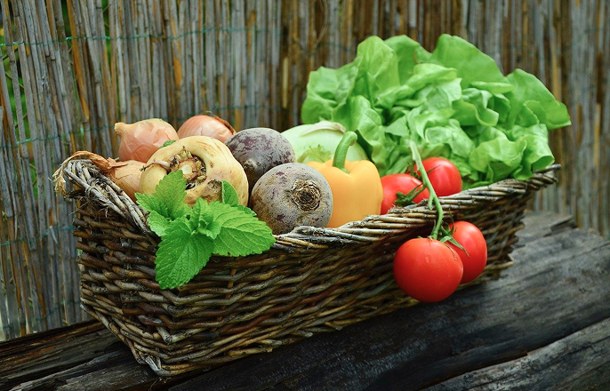 バスケットに入った国産野菜